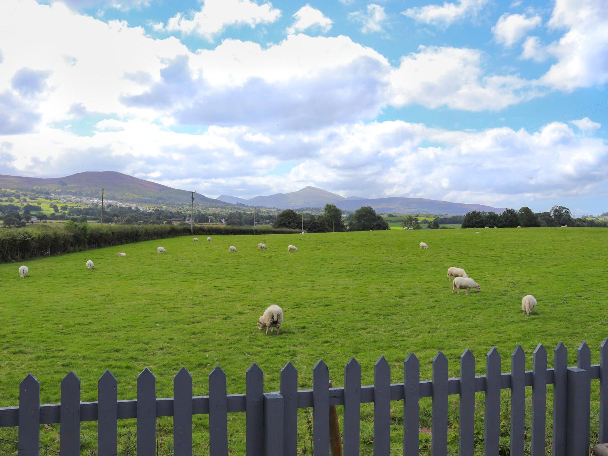 Pencefn Cottage スランザイニオレン エクステリア 写真